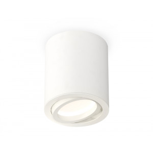Потолочный светильник Ambrella Light Techno Spot XS7421001 (C7421, N7001)