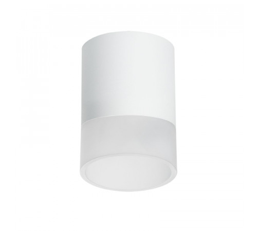 Накладной светильник Lightstar Rullo (213486+202481) R348681 Накладной светильник Lightstar Rullo (213486+202481) R348681