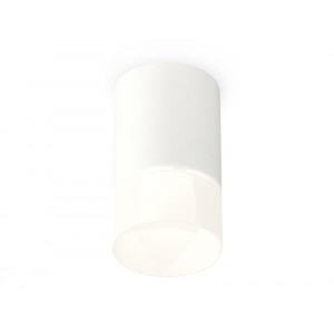 Потолочный светильник Ambrella Light Techno Spot XS7421025 (C7421, N7170)