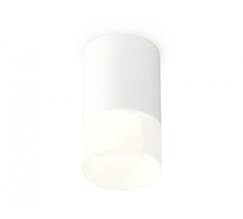 Потолочный светильник Ambrella Light Techno Spot XS7421025 (C7421, N7170) Потолочный светильник Ambrella Light Techno Spot XS7421025 (C7421, N7170)
