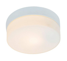 Потолочный светильник Arte Lamp Shirp A3211PL-1WH