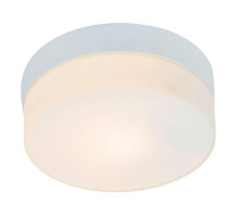 Потолочный светильник Arte Lamp Shirp A3211PL-1WH