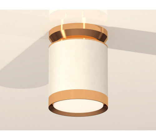 Потолочный светильник Ambrella Light Techno Spot XS8141030 (N8909, C8141, N8124)