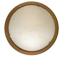 Настенно-потолочный светодиодный светильник Toplight Jane TL9640Y-00OA