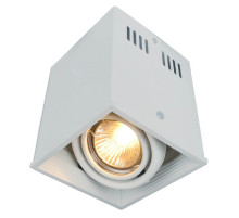 Потолочный светильник Arte Lamp Cardani A5942PL-1WH