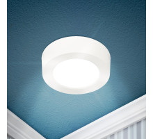 Накладной светильник Эра LED 19-24-6K Б0057432