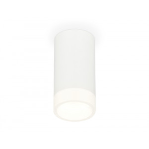 Потолочный светильник Ambrella Light Techno Spot XS8161002 (C8161, N8401)