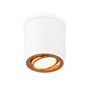 Потолочный светильник Ambrella Light Techno Spot XS7531004 (C7531, N7004)