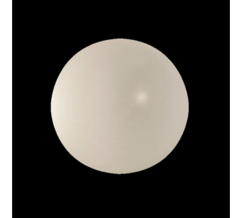Потолочный светильник Lightstar Simple Light 803010 Потолочный светильник Lightstar Simple Light 803010