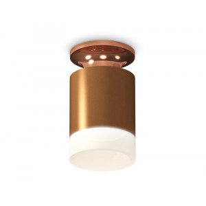 Потолочный светильник Ambrella Light Techno Spot XS6304153 (N6906, C6304, N6248)
