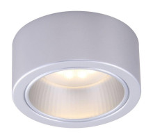 Потолочный светильник Arte Lamp Effetto A5553PL-1GY