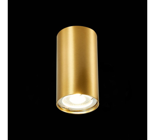 Накладной светильник ST Luce ST110 ST110.207.01 Накладной светильник ST Luce ST110 ST110.207.01