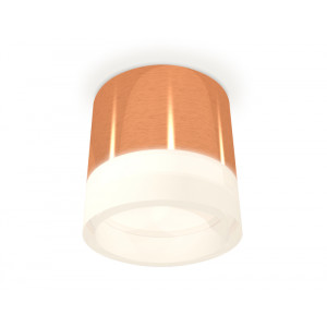 Потолочный светильник Ambrella Light Techno Spot XS8122010 (C8122, N8401)