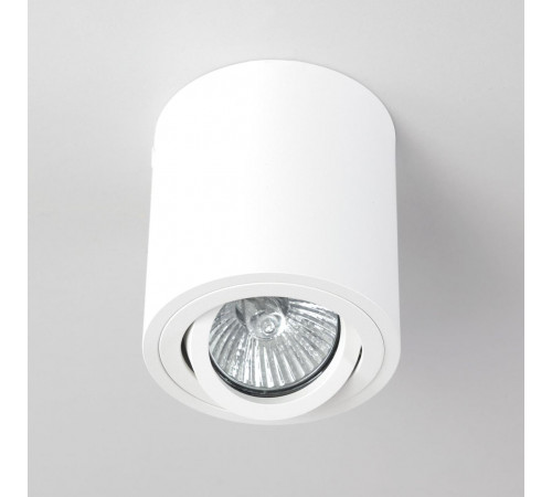 Потолочный светильник Citilux Дюрен CL538111 Потолочный светильник Citilux Дюрен CL538111