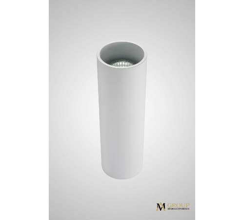 Накладной светильник AM Group AM02-250 WH Накладной светильник AM Group AM02-250 WH