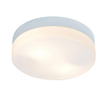 Потолочный светильник Arte Lamp Shirp A3211PL-2WH