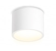 Накладной светильник Ambrella Light IP Protect TN6550