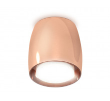 Потолочный светильник Ambrella Light Techno Spot XS1144020 (C1144, N7165)