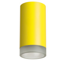 Накладной светильник Lightstar Rullo R43330 (214433+202430)