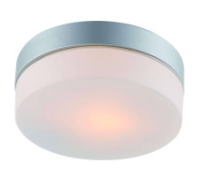Потолочный светильник Arte Lamp Shirp A3211PL-1SI