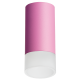 Накладной светильник Lightstar Rullo R43231 (214432+202431)