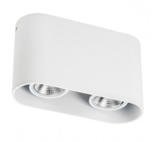 Накладной светильник Lightstar Rullo 214866