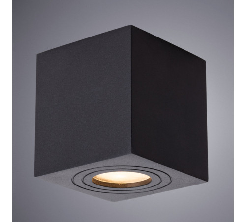 Накладной светильник ARTE Lamp A1461PL-1BK