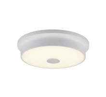 Потолочный светодиодный светильник Citilux Фостер-2 CL706220