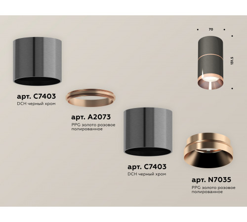 Потолочный светильник Ambrella Light Techno Spot XS7403101 (C7403, A2073, C7403, N7035) Потолочный светильник Ambrella Light Techno Spot XS7403101 (C7403, A2073, C7403, N7035)