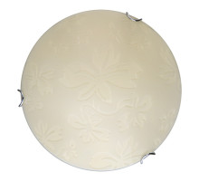 Настенно-потолочный светодиодный светильник Toplight Jane TL9641Y-00WH