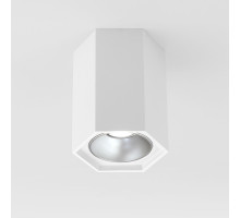 Накладной светодиодный светильник Elektrostandard 25036/LED 4690389176487