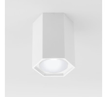 Накладной светодиодный светильник Elektrostandard 25037/LED 4690389176500