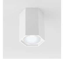 Накладной светодиодный светильник Elektrostandard 25037/LED 4690389176500