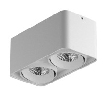 Потолочный светильник Lightstar Monocco 212526