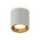 Потолочный светильник Ambrella Light Techno Spot XS7533024 (C7533, N7014)