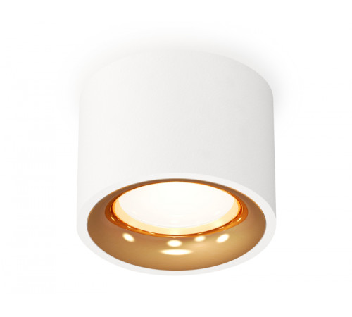 Потолочный светильник Ambrella Light Techno Spot XS7510024 (C7510, N7014) Потолочный светильник Ambrella Light Techno Spot XS7510024 (C7510, N7014)