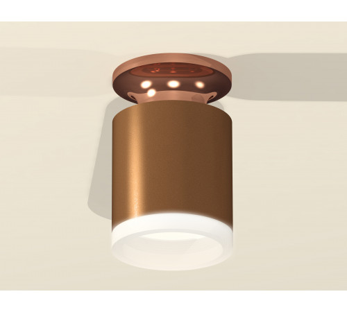 Потолочный светильник Ambrella Light Techno Spot XS6304152 (N6906, C6304, N6245) Потолочный светильник Ambrella Light Techno Spot XS6304152 (N6906, C6304, N6245)