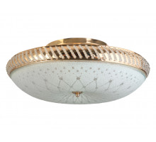 Накладной светильник Toplight Loreen TL1492Y-05GC