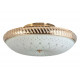 Накладной светильник Toplight Loreen TL1492Y-05GC