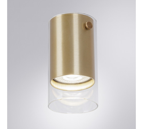 Накладной светильник Arte Lamp Lazio A5365PL-1SG Накладной светильник Arte Lamp Lazio A5365PL-1SG
