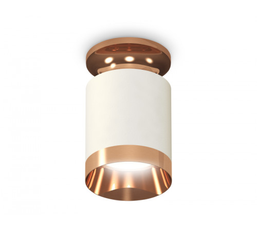 Потолочный светильник Ambrella Light Techno Spot XS6301200 (N6906, C6301, N6135) Потолочный светильник Ambrella Light Techno Spot XS6301200 (N6906, C6301, N6135)