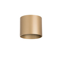 Накладной светильник Lightstar Rullo 213490