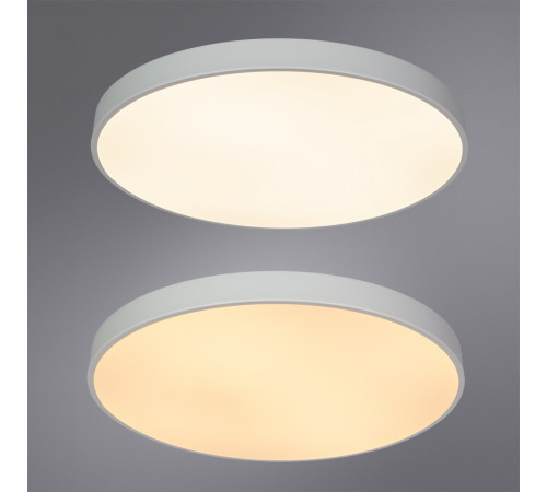 Потолочный светодиодный светильник Arte Lamp Arena A2671PL-1WH Потолочный светодиодный светильник Arte Lamp Arena A2671PL-1WH