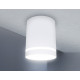 Потолочный светильник Ambrella Light Techno Spot TN3202