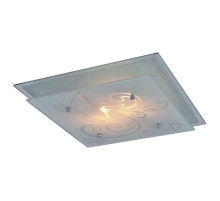 Потолочный светильник Arte Lamp A4866PL-2CC