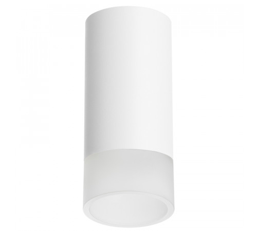 Накладной светильник Lightstar Rullo R43631 (214436+202431) Накладной светильник Lightstar Rullo R43631 (214436+202431)