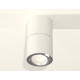 Потолочный светильник Ambrella Light Techno Spot XS7401160 (C7401, A2070, C7401, N7003)