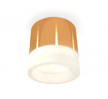 Потолочный светильник Ambrella Light Techno Spot XS8121010 (C8121, N8401)