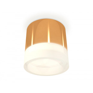Потолочный светильник Ambrella Light Techno Spot XS8121010 (C8121, N8401)