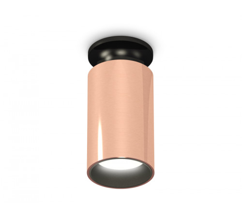 Потолочный светильник Ambrella Light Techno Spot XS6326101 (N6902, C6326, N6111) Потолочный светильник Ambrella Light Techno Spot XS6326101 (N6902, C6326, N6111)